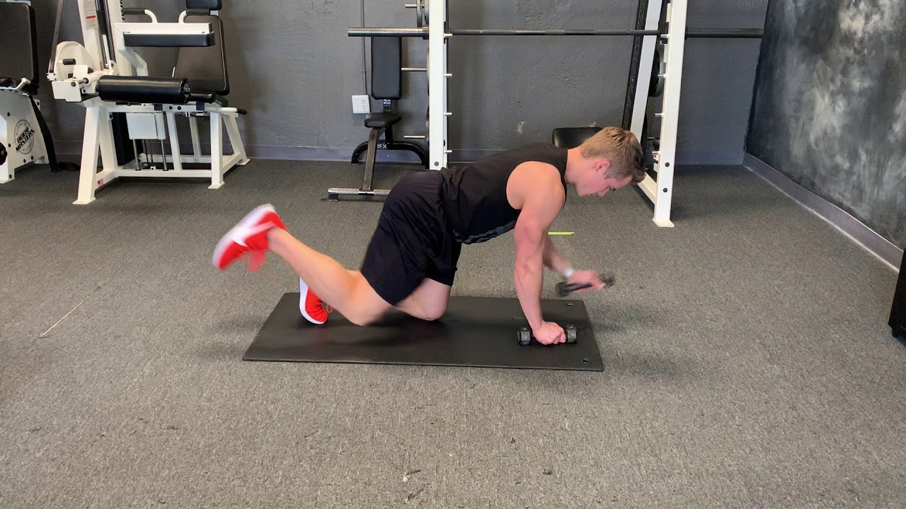 Επίδειξη άσκησης για σκύλους με αλτήρες - YouTube