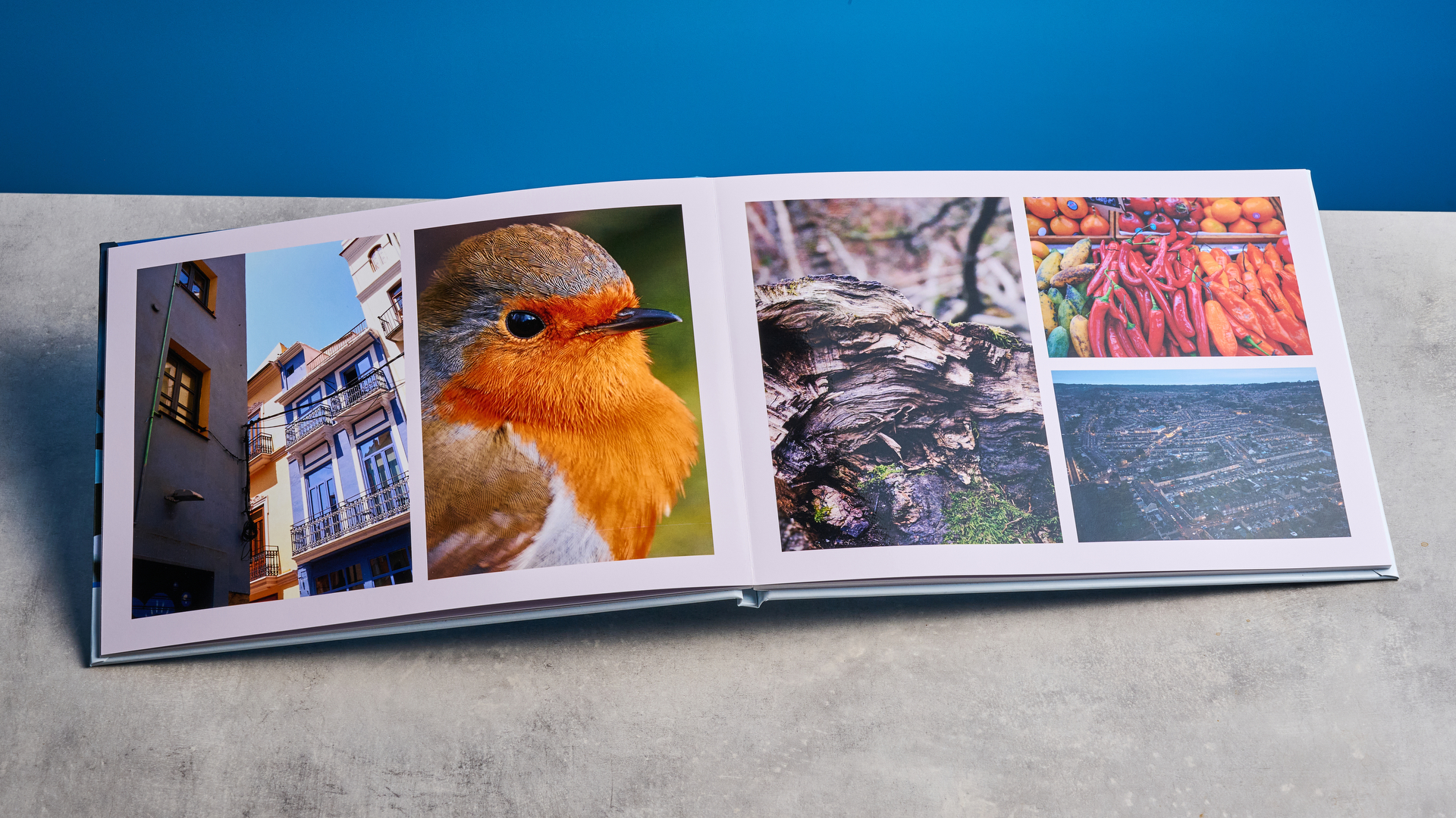 Το άλμπουμ φωτογραφιών Popsa φωτογραφίζεται μπροστά σε μπλε φόντο