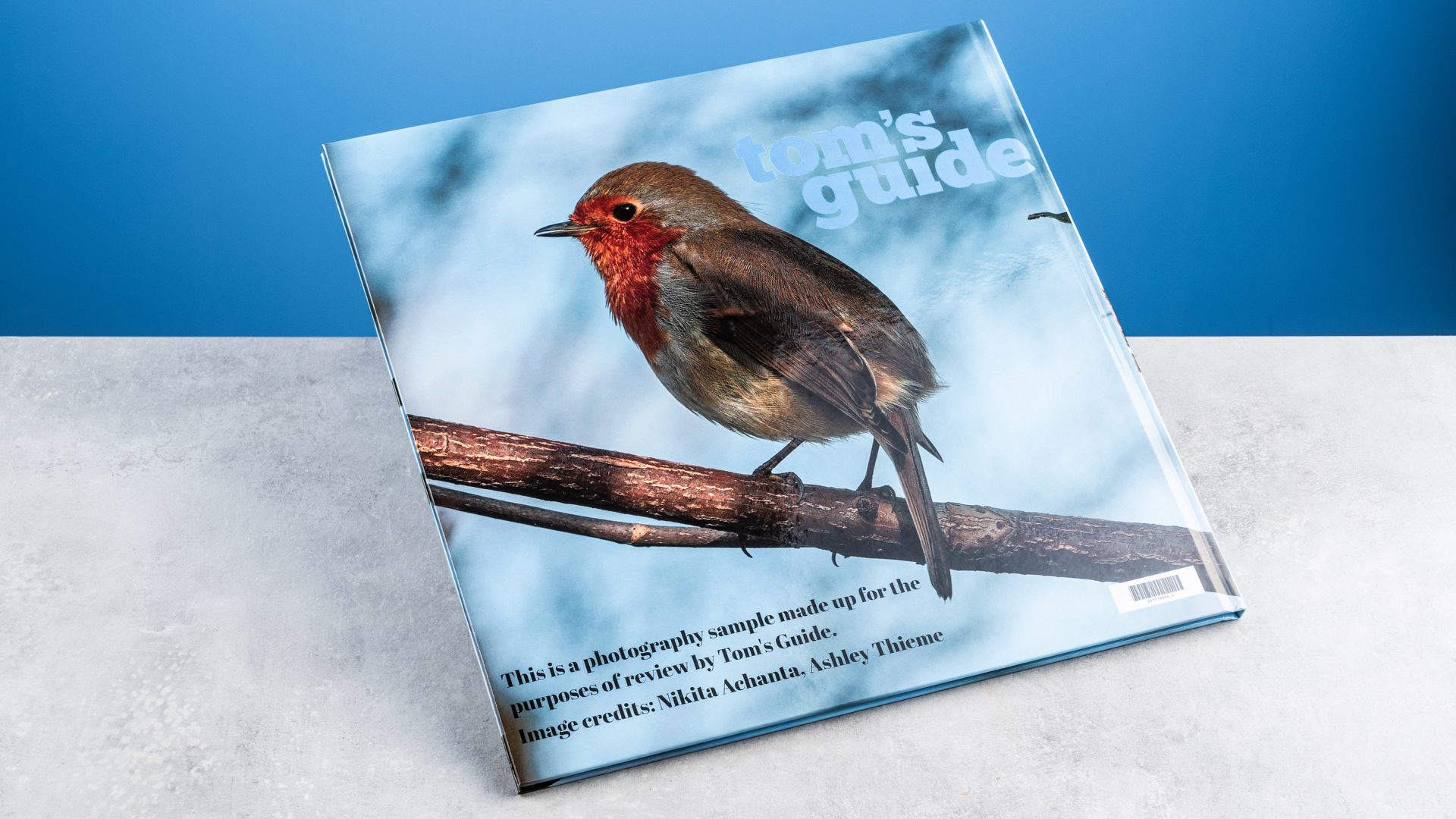 Σελίδες άλμπουμ φωτογραφιών Vistaprint φωτογραφημένες σε τραπέζι μπροστά σε μπλε φόντο