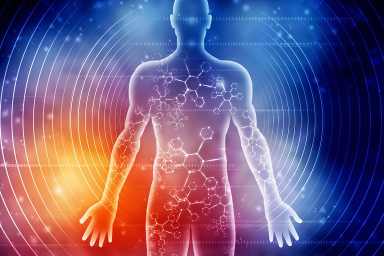 Οι επιστήμονες εντόπισαν μοριακό διακόπτη που επιτρέπει την άσκηση να αντιστρέφει τη γήρανση των μυών