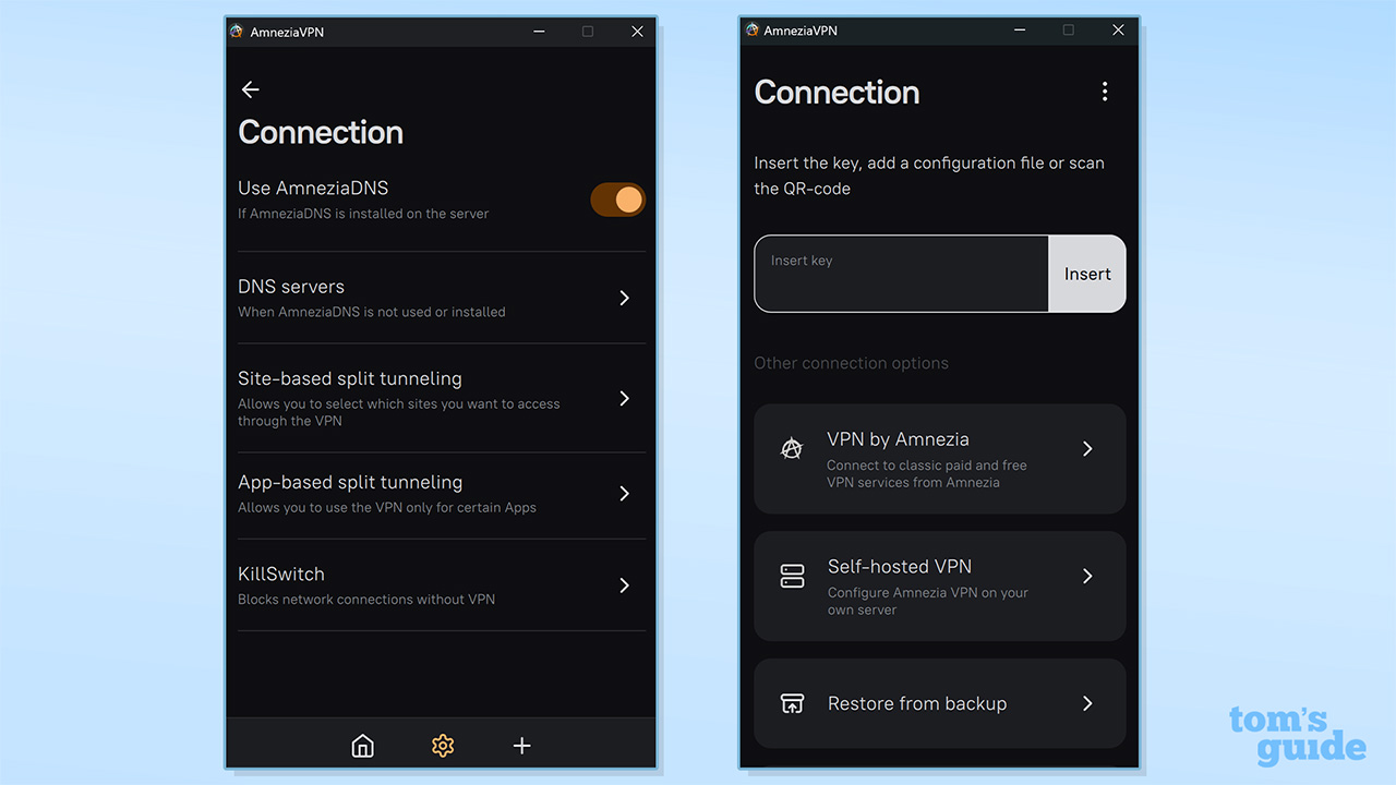 Στιγμιότυπο οθόνης των ρυθμίσεων σύνδεσης AmneziaVPN