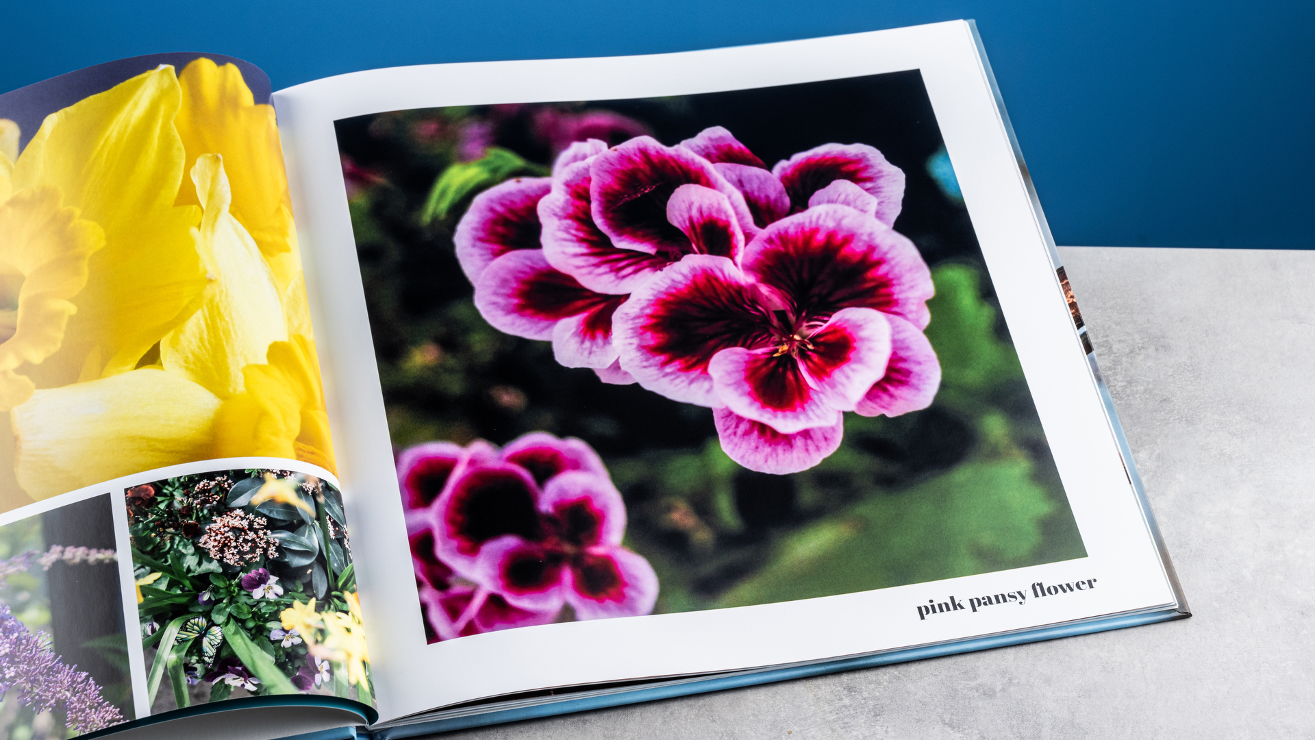 Σελίδες άλμπουμ φωτογραφιών Vistaprint φωτογραφημένες σε τραπέζι μπροστά σε μπλε φόντο