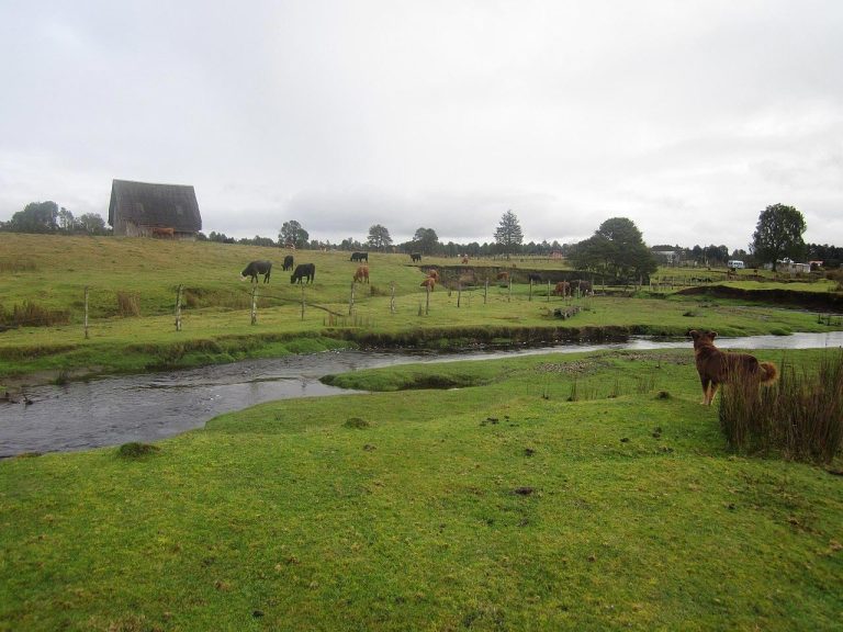 Κάναμε λάθος; New Study Challenges Timeline of First Americans