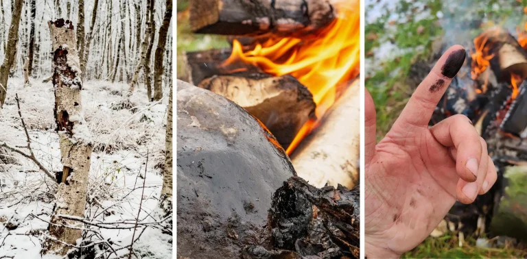 Οι Νεάντερταλ μπορεί να χρησιμοποίησαν την πίσσα σημύδας ως αρχαίο αντιβιοτικό, ευρήματα μελέτης
