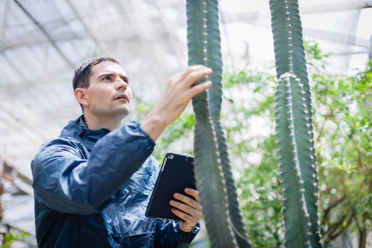 Αυτό το οικείο φυτό αμφισβητεί μια μακροχρόνια ιδέα από τον Κάρολο Δαρβίνο σχετικά με την εξέλιξη