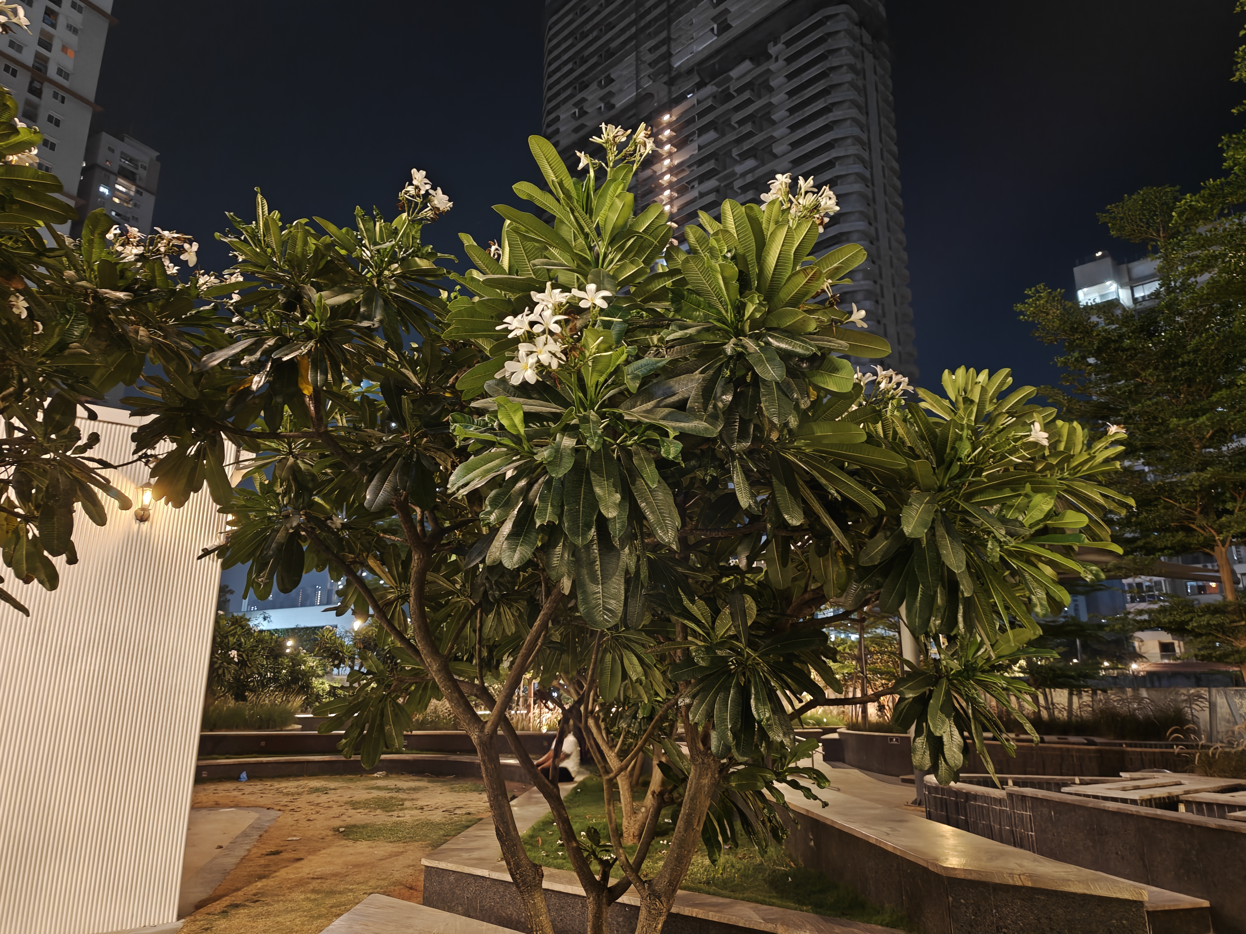 OPPO Find N6 camera review on Android Central