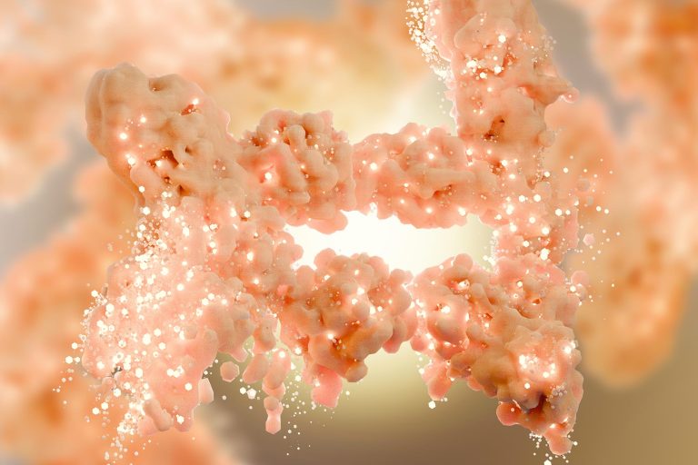 Οι επιστήμονες ανακάλυψαν πρωτεΐνη που μετατρέπει το καφέ λίπος σε μηχανή που καίει θερμίδες