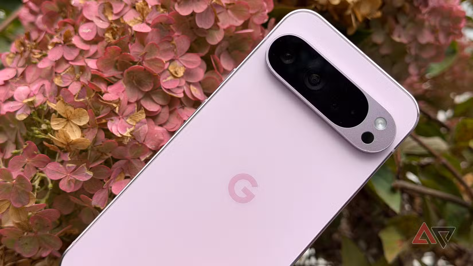 Google Pixel 9 Pro XL ενάντια στα ροζ λουλούδια