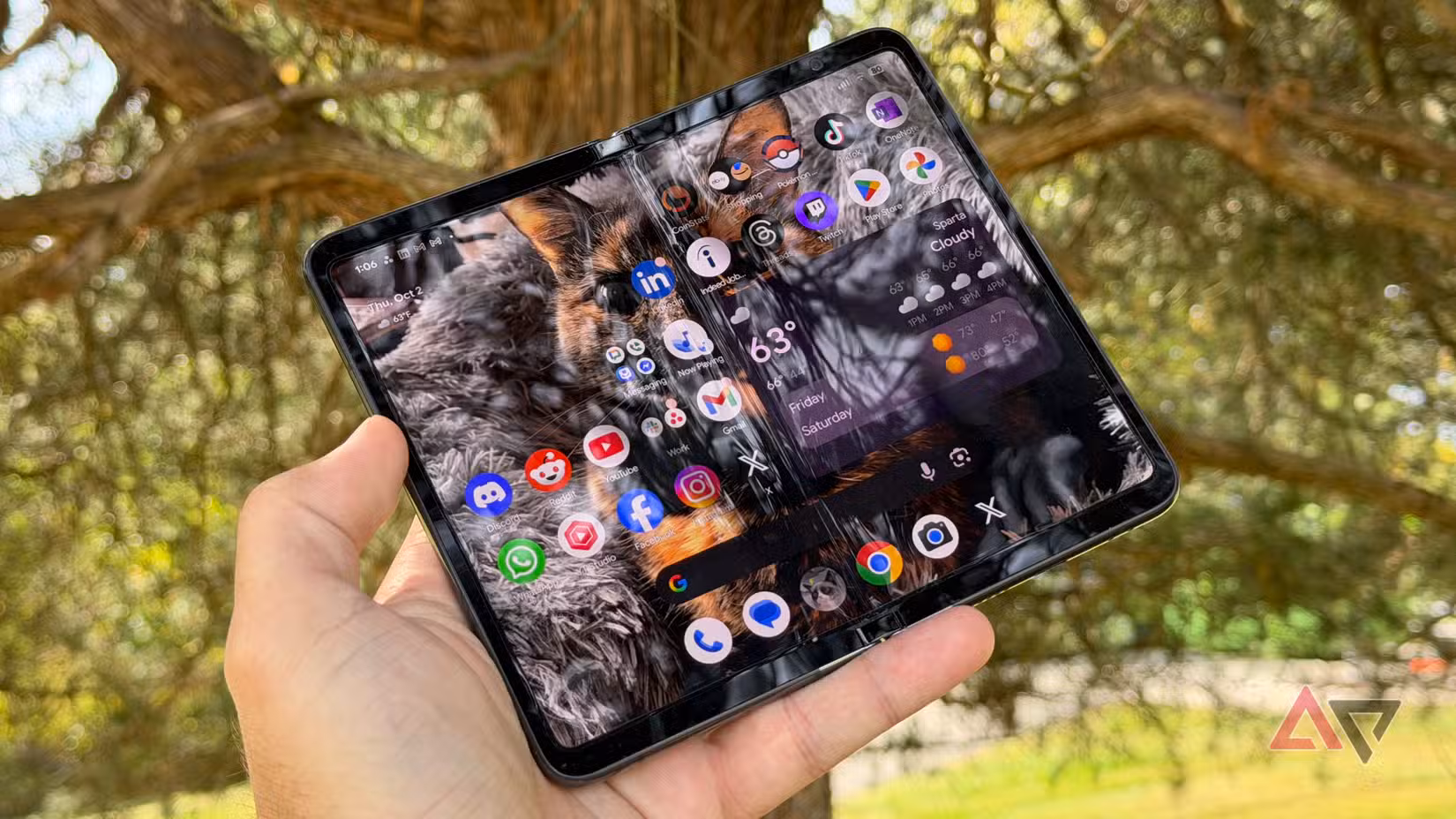Το Google Pixel Fold κρατιέται ανοιχτό πάνω σε ένα καφέ δέντρο