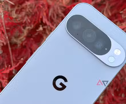 Το Google Pixel 10 Pro αντιμετώπισε έναν ιαπωνικό σφενδάμι