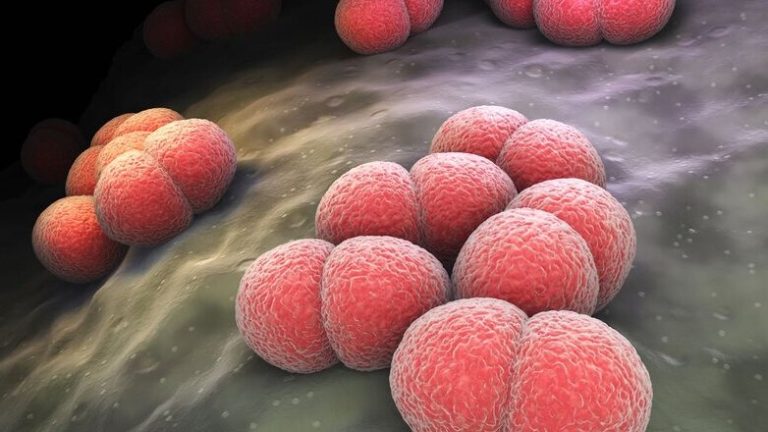 “Άνευ προηγουμένου” η επιδημία μηνιγγίτιδας στη Βρετανία