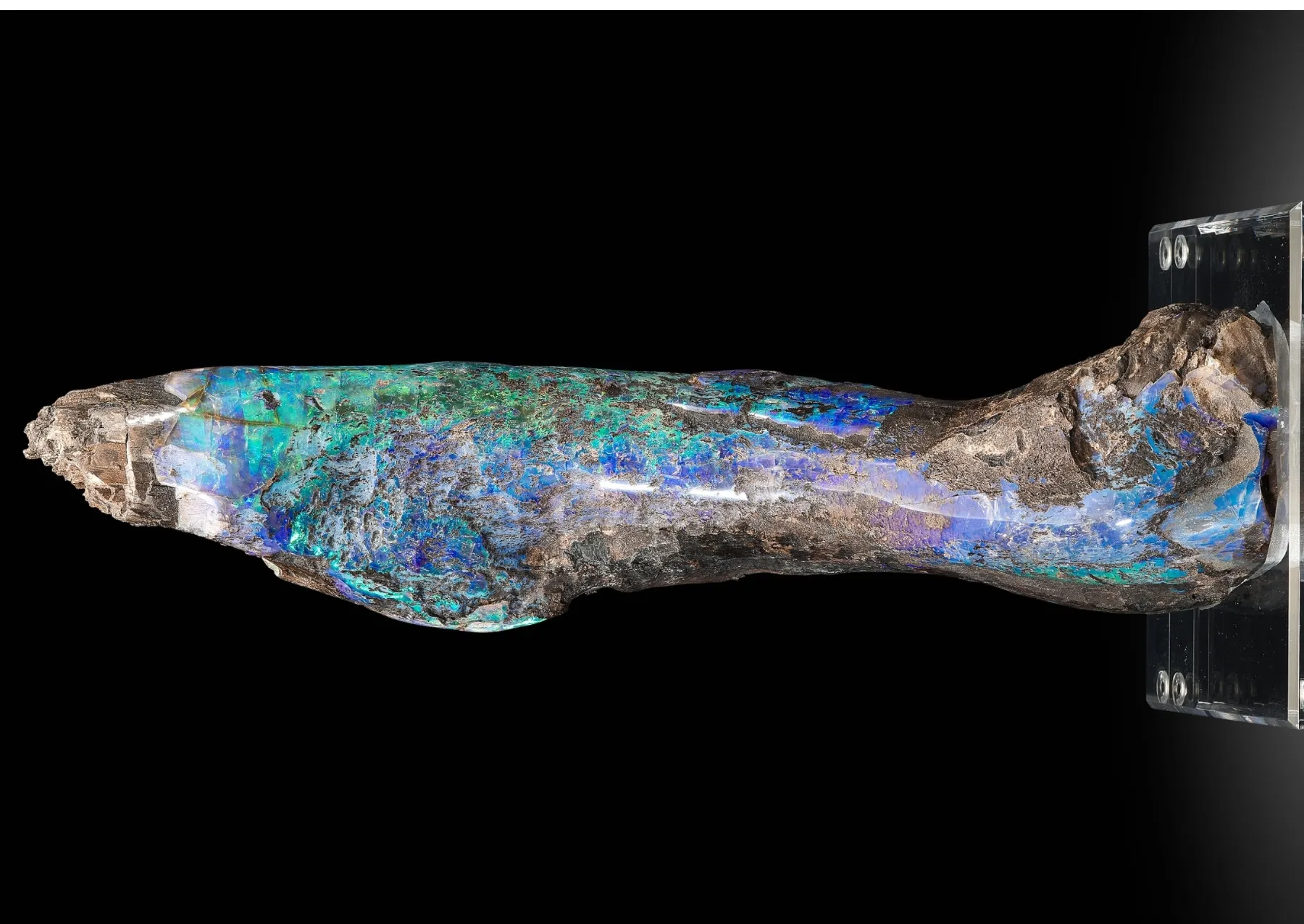 ένα κομμάτι οπαλιωμένο ξύλο με μπλε και πράσινες κηλίδες