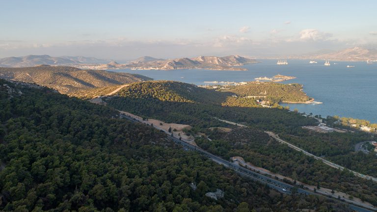 πνεύμονας πρασίνου και κρίσιμος δείκτης βιώσιμης πόλης — InfoCom
