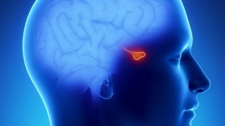 20 χρόνια ελληνικής εξειδίκευσης με διεθνές αποτύπωμα